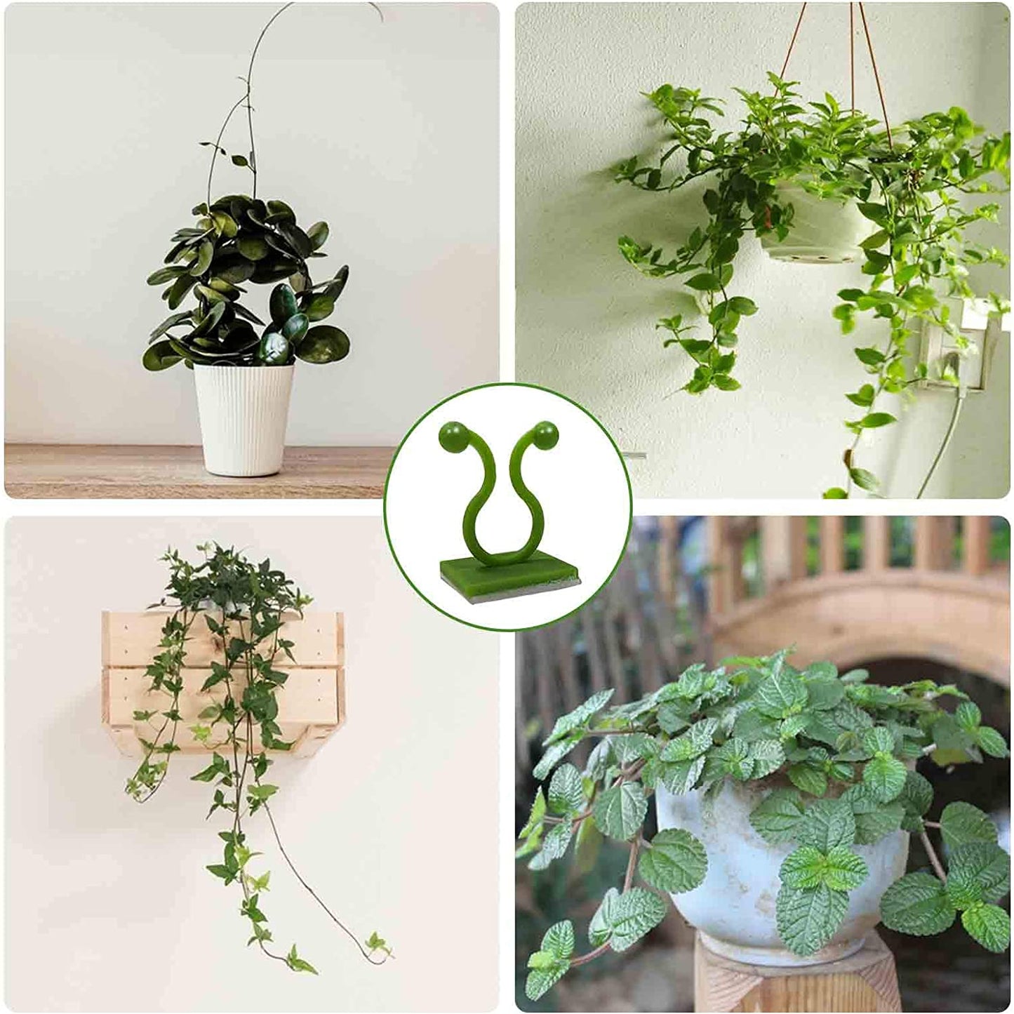 Plant Clips-Plant Climbing Wall Fixture Clips 110PCS, Invisible Clips for Climbing Plants，Self-Adhesive Plant Wall Clips for Plant Support, Sticky Plant Fixture Clips Plant Holder for Pothos