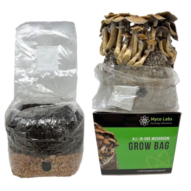 All-In-One Mushroom Grow Bag (4 Lbs) for Manure Loving Mushrooms