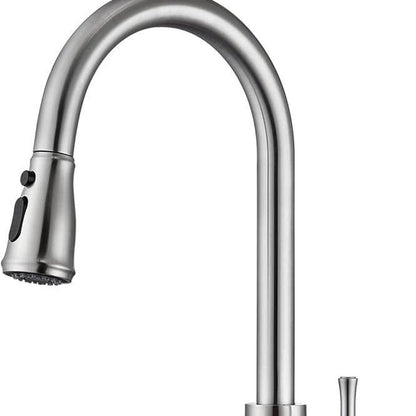 Single Handle Kitchen Sink Faucet with Pull Out Sprayer