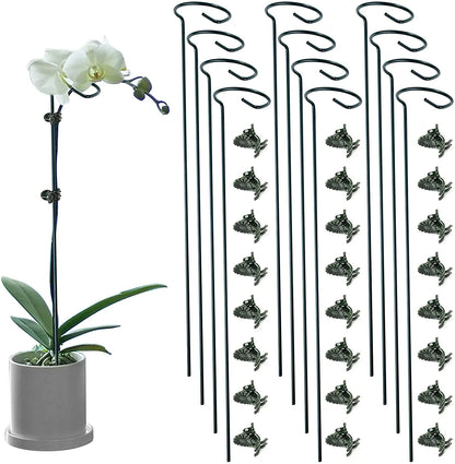 12 Pack Plant Stakes, 24 Inch Plant Support Stakes, with 24 Pcs Plant Clips, Green, for Garden