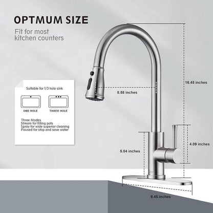 Single Handle Kitchen Sink Faucet with Pull Out Sprayer