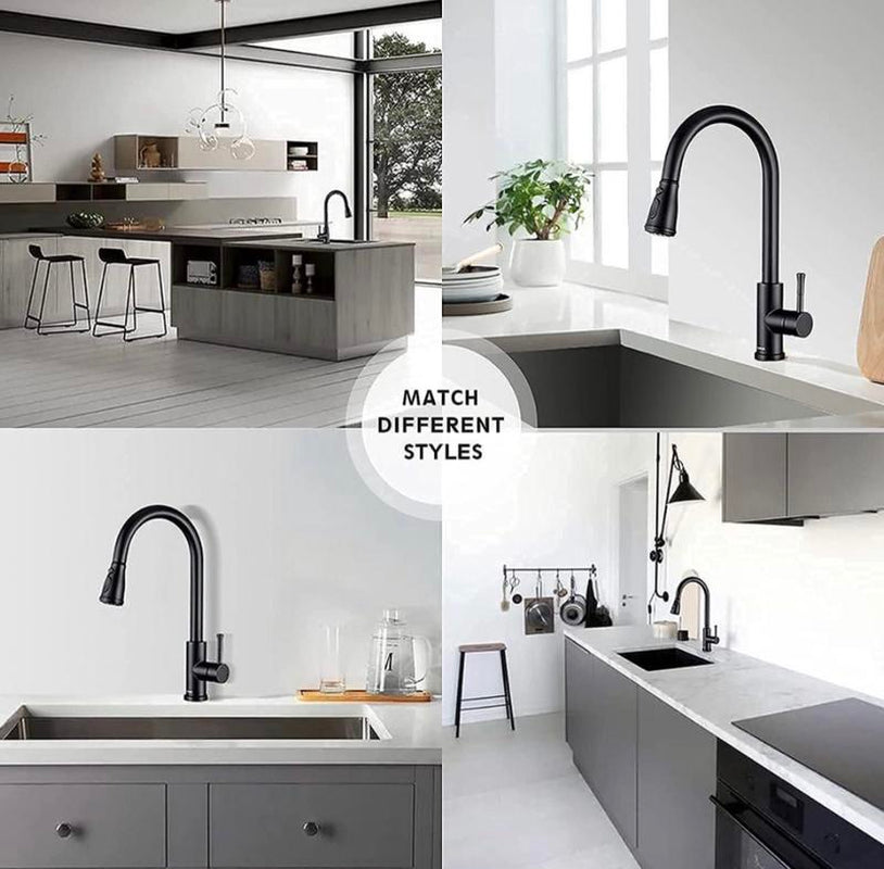 Single Handle Kitchen Sink Faucet with Pull Out Sprayer