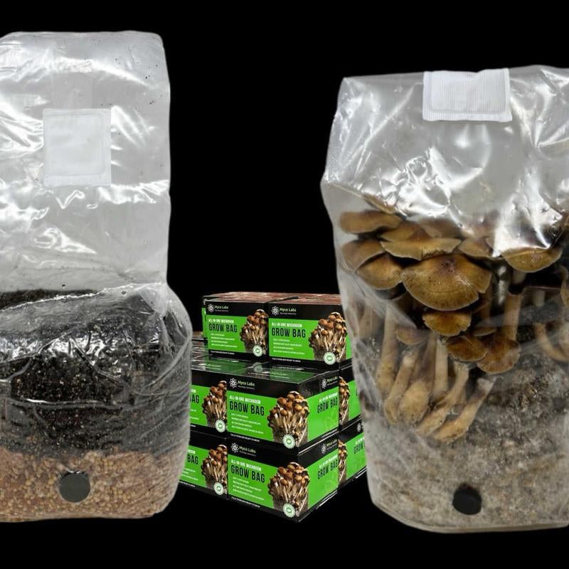 All-In-One Mushroom Grow Bag (4 Lbs) for Manure Loving Mushrooms